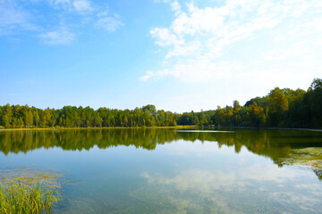 Landscape. Forest lake, framed by autumn forest. The water near the coast is covered with mud. The blue sky with clouds is reflected from the smooth surface of the water. 