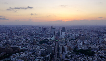 Fototapeta premium Ariel view of Tokyo cityscape in sunset