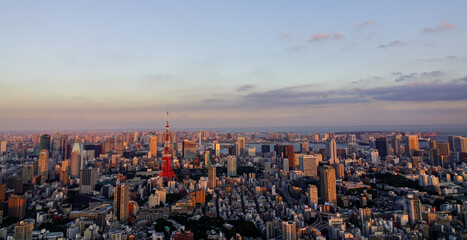 Fototapeta premium Ariel view of Tokyo cityscape in sunset