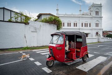 Red Tuk Tuk and little cat on the street near Galle Dutch Fort, one of travel attractions of Sri...