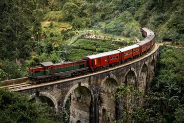 Foto op Aluminium Red classic train on Nine arches bridge, running over ceylon tea plantation in Ella. Famous tourist attraction of Sri Lanka. © zephyr_p
