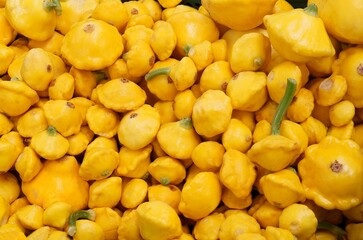 various pumpkins and other gourd vegetables close up