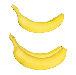 Ripe bananas on a white background.
