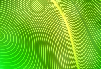 Light Green, Yellow vector background with lines.