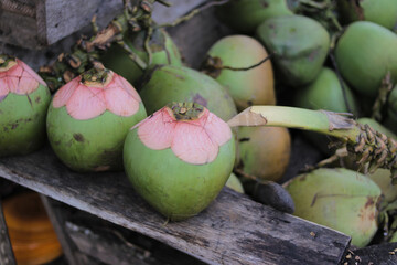 a bunch of coconuts on display ready to sell at a tourist spot