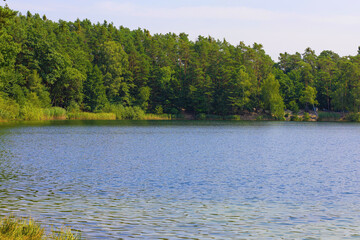 Widok na jezioro i las iglasty, krajobraz leśny.Jezioro Srebrne w Osowcu. - obrazy, fototapety, plakaty