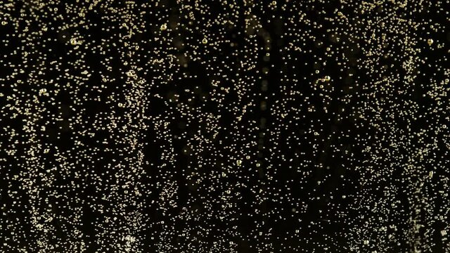 Super slow motion of champagne bubbles texture on black background. Filmed on high speed cinema camera, 1000 fps