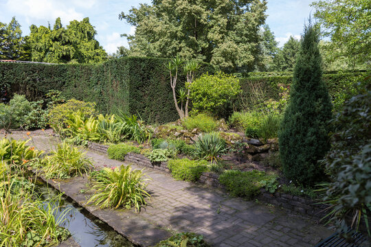 green garden with warer plants and trees