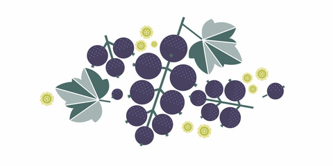 Black currant berries. Flat illustration. Ripe berries, leaves and flowers. Illustration can use for jam, marmalade berry drink, berry filler, for label, packaging design, adv products and posters.