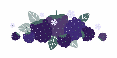 Dewberry fruits. Flat illustration. Ripe berries, leaves and flowers. Illustration can use for jam, marmalade berry drink, berry filler, for label, packaging design, adv products and posters.