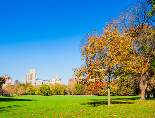 秋のニューヨーク　セントラル・パーク