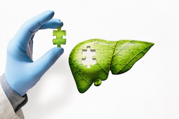 Puzzle with illustration of green liver and doctor's hand with the missing piece of puzzle. Liver treatment concept.