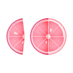 Modern Flat Vector Concept Illustrations. Sliced Grapefruit on Isolated Background. Template.