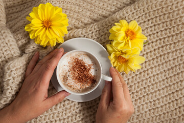 Autumn background, a cup of hot drink in female hands and a knitted plaid