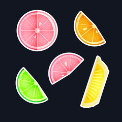 Fruit Sticker Pack. Modern Flat Vector Concept Illustrations. Grapefruit, Orange, Lime, Lemon Slices. Social Media Ads.