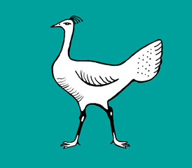 fabulous heat -bird, children's book -coloring