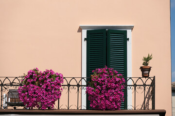 Pink house and pink flowers in Italy