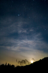 風に揺れるススキと朧月と星