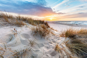 Beach grass on dune, Baltic sea at sunset - obrazy, fototapety, plakaty