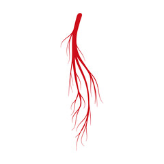 Obraz na płótnie Canvas Vein of human vector cartoon icon. Vector illustration artery of blood on white background. Isolated cartoon illustration icon of vein of human .