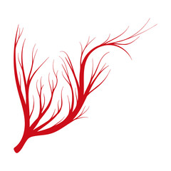 Vein of human vector cartoon icon. Vector illustration artery of blood on white background. Isolated cartoon illustration icon of vein of human .