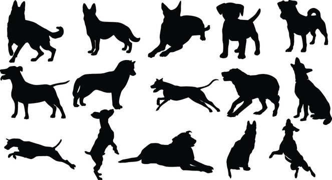 Dog silhouette Set 06 walking and standing . Shepherd, beagle, great dane, dachshund, poodle, pit bull. . Vector black flat icon isolated on white background.