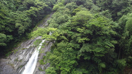 Fototapeta na wymiar 日本の滝百選　轟の滝