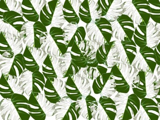 Beautiful of green tropical leaves plant illustration background