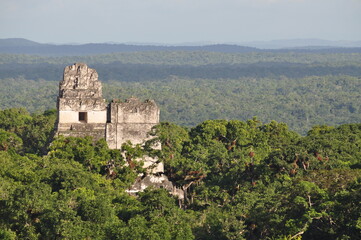 Fototapeta na wymiar A temple in Tikal National Park, Guatemala