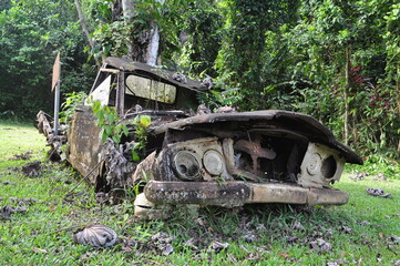 Wreck of a car in the jungle of Belize