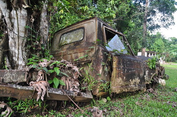 Wreck of a car in the jungle of Belize