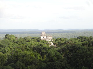 Fototapeta premium The ruins of the ancient city of Tikal, Guatemala