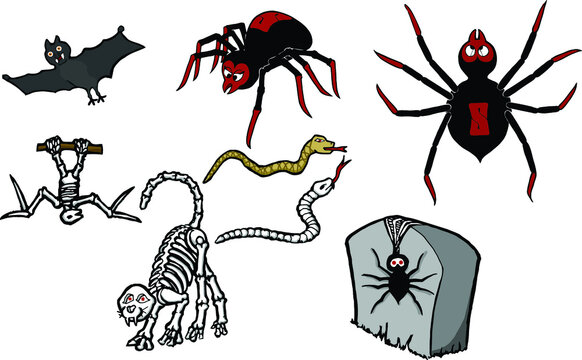 various Halloween creatures | snakes spiders and animal skeletons