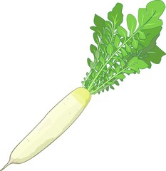新鮮な野菜の手描き風イラスト