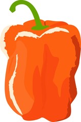 新鮮な野菜の手描き風イラスト