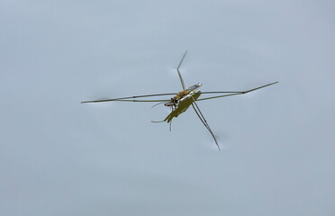 water meter on the surface of the reservoir