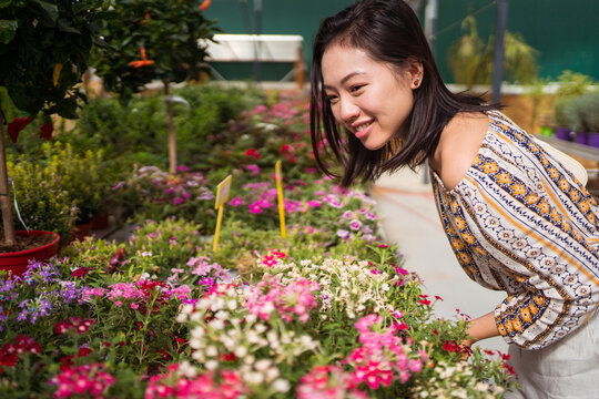 Smiling Asian buyer choosing blooming flowers in garden shop