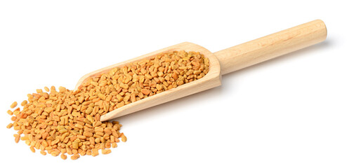 fenugreek seeds in the wooden scoop, isolated on the white background