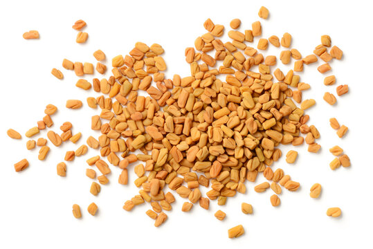 fenugreek seeds isolated on the white background, top view