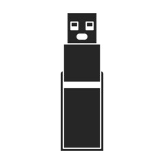 Drive flash vector icon.Black vector icon isolated on white background drive flash.