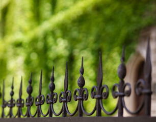 metal fence. forged metal fence