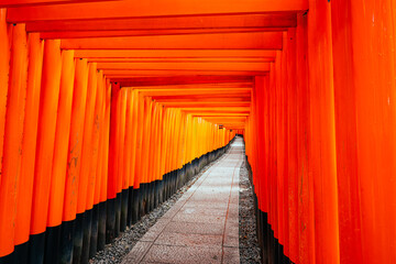 The Red Torii gate in Fushimi Inari Court, one of the most famous landmarks in Kyoto, Japan.