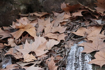 Fototapeta premium Travel