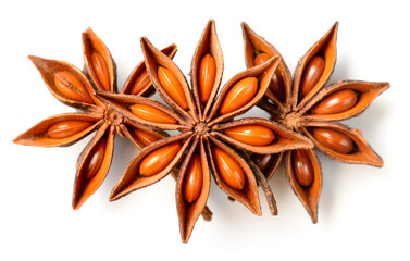 chinese star anise fruits isolated on the white background, top view
