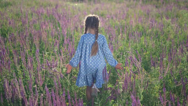 Girl in flower field. Child touches blue flowers with his hand. Girl in blue dress. Child hand touches flowers. Happy little girl outdoors in flower field. Natural beauty. Happy childhood concept