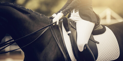A rider's hand in a white glove with a rein. Equestrian sport.
