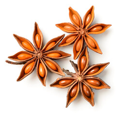 chinese star anise fruits isolated on the white background, top view