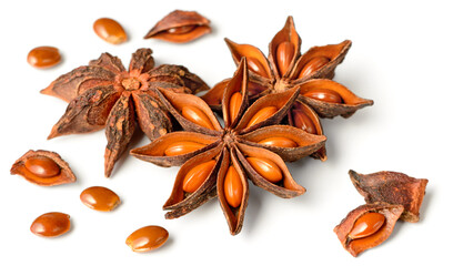 star anise fruits isolated on the white background