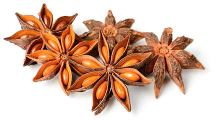 star anise fruits isolated on the white background