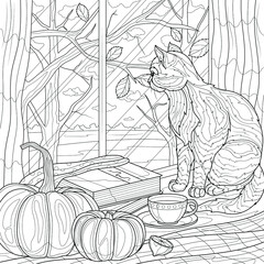 The cat sits near the pumpkin and looks out the window. Autumn .Coloring book antistress for children and adults. Illustration isolated on white background.Zen-tangle style. Hand draw